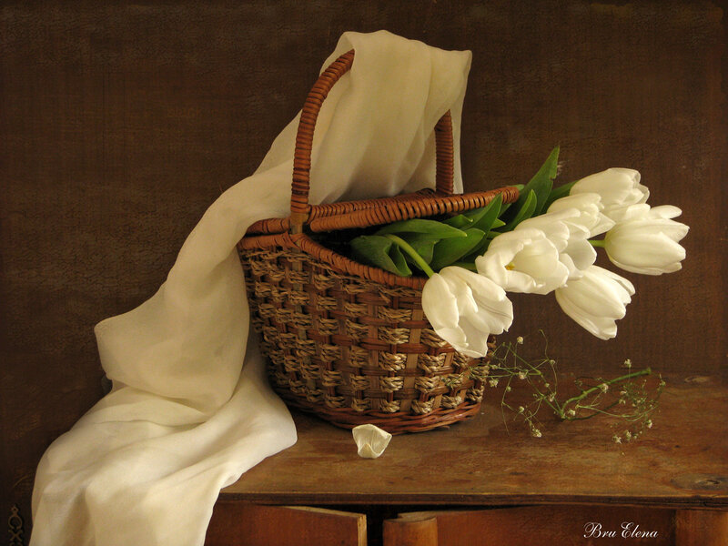 White tulips in a basket