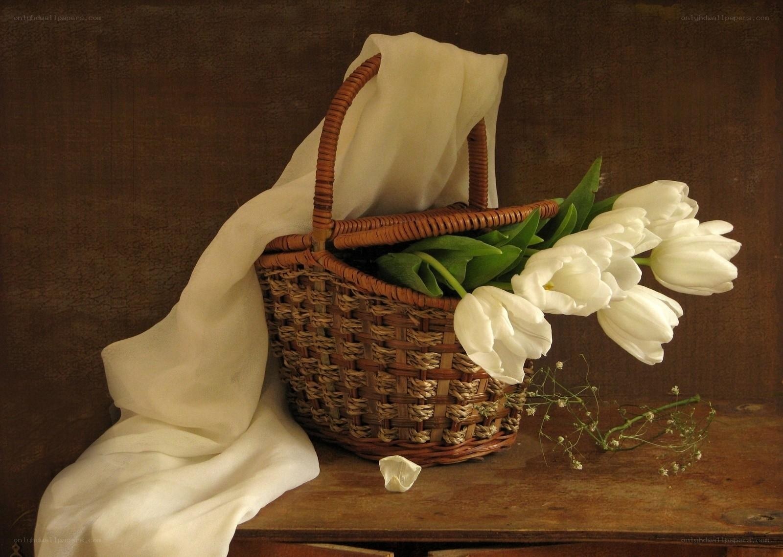 White tulips in a basket
