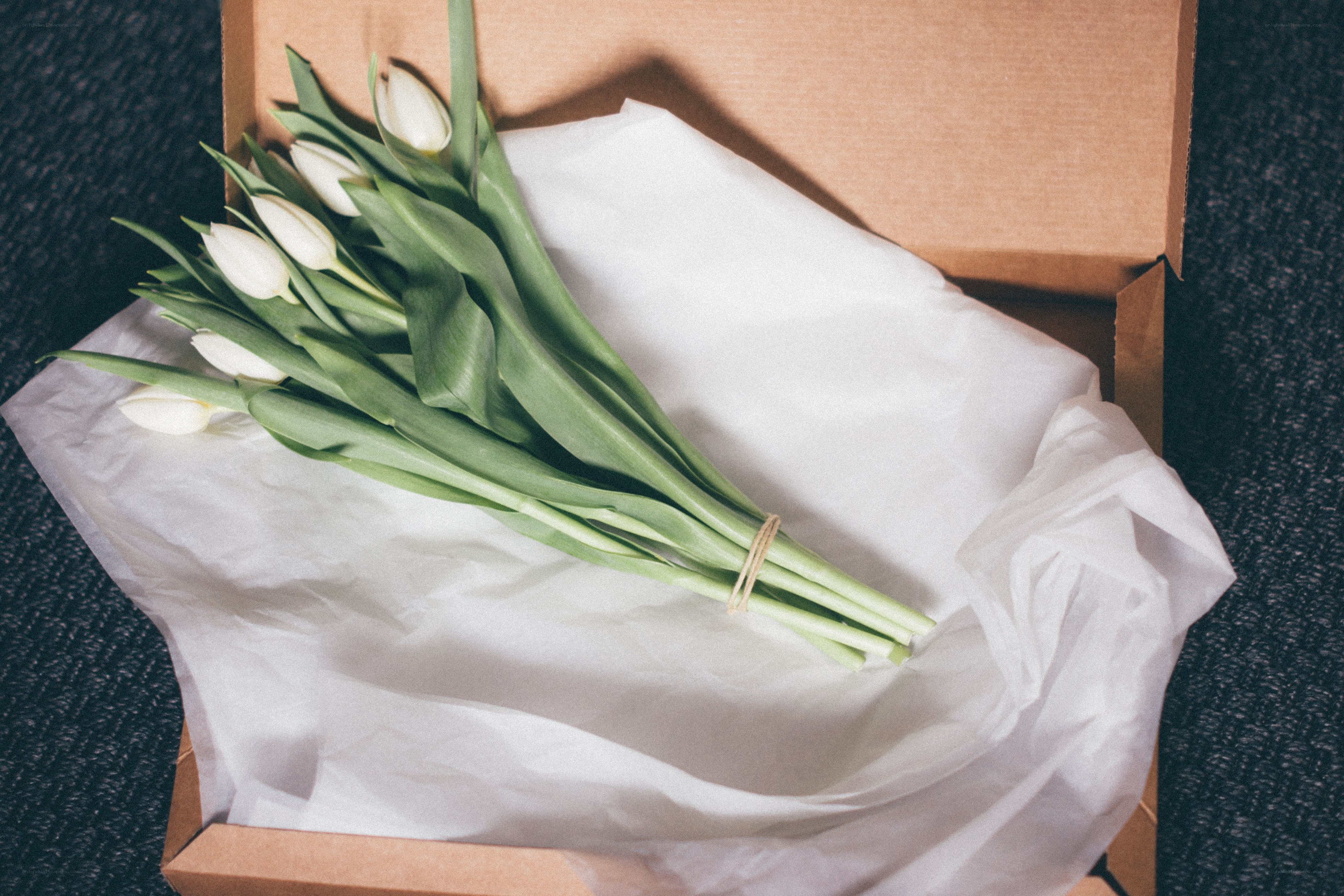 white tulips in a box