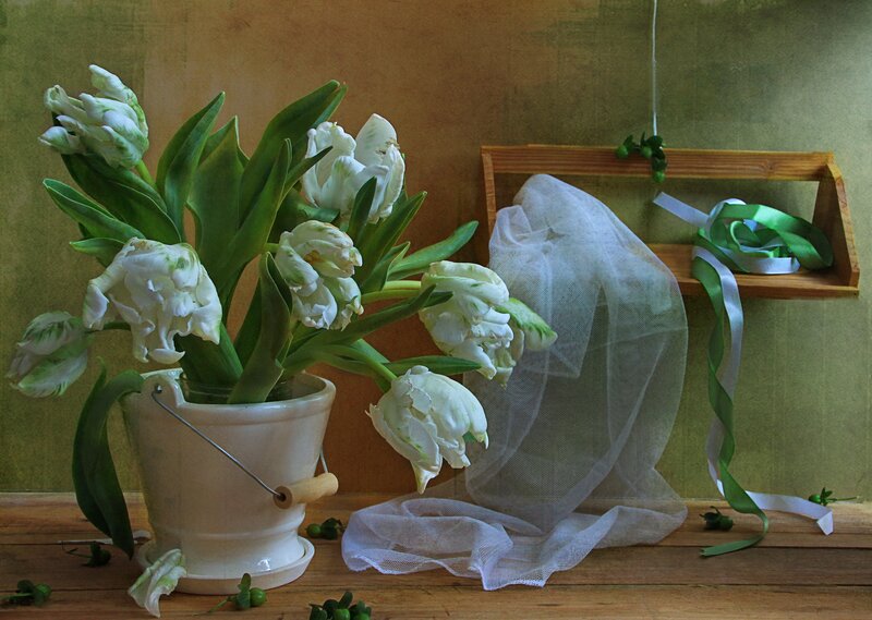 White Tulips in a Bucket
