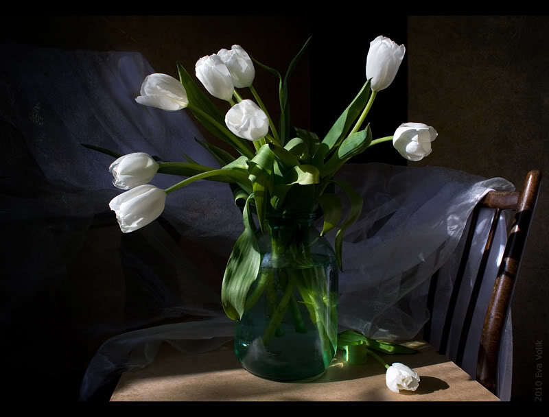 White tulips in a green vase
