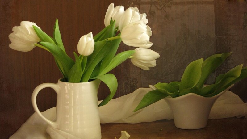White Tulips in a Pitcher — Calm