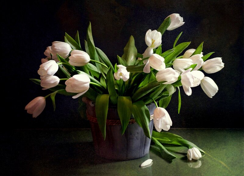 White Tulips in a Vase — Serene, Photograph