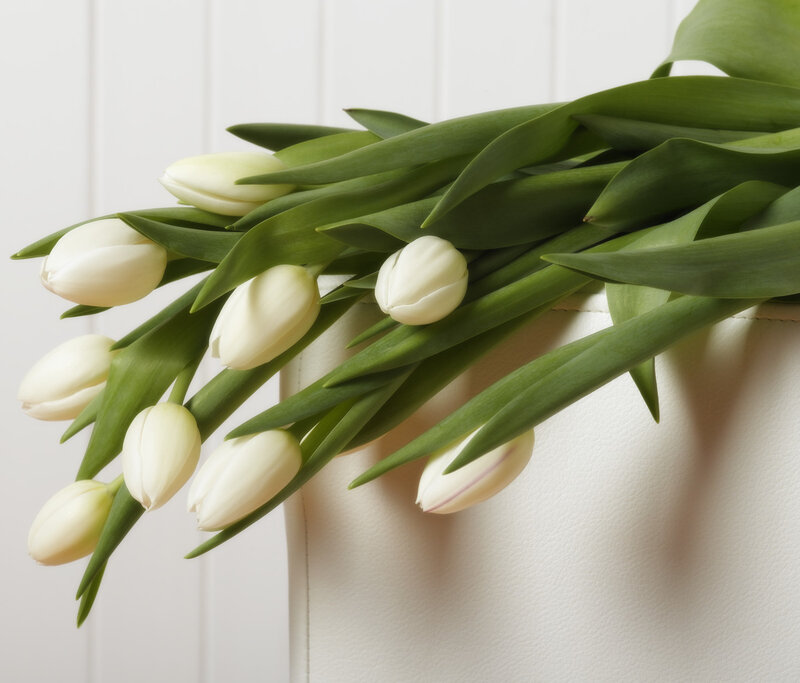 White Tulips in a Vase — Serene