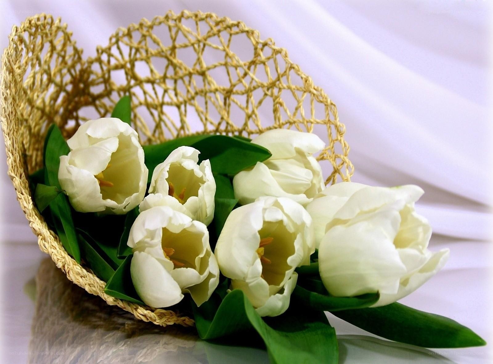 White tulips in a woven basket