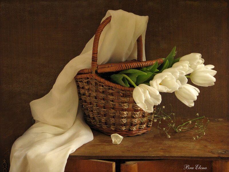 White Tulips in Basket — Brown, Serene