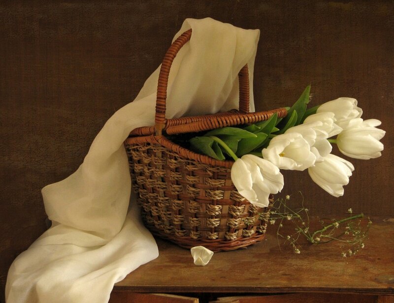 White Tulips in Basket — Brown