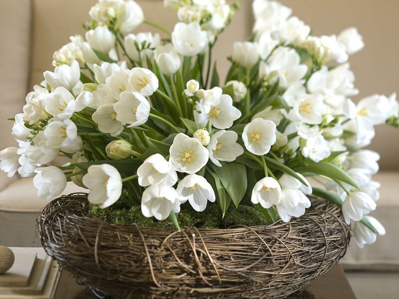 White Tulips in Basket — Calm