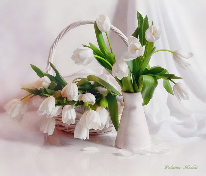 White Tulips in Basket — Serene, Photograph, Vase, Petals