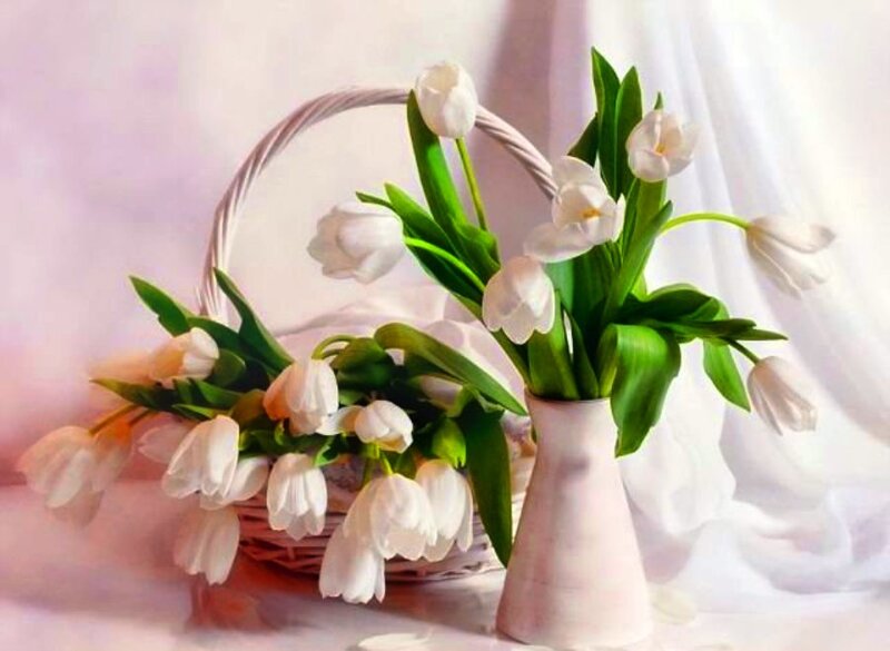White Tulips in Basket — Serene, Spring