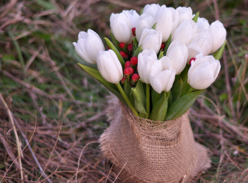 White Tulips in Burlap