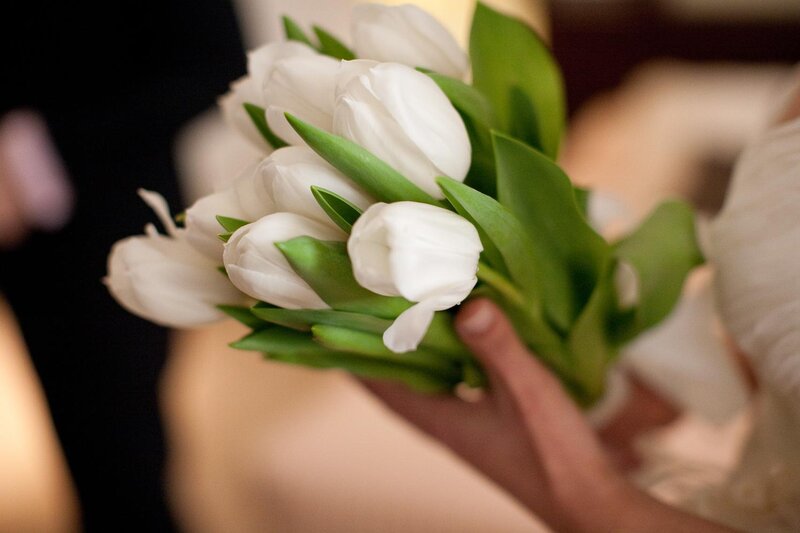 White Tulips in Hand