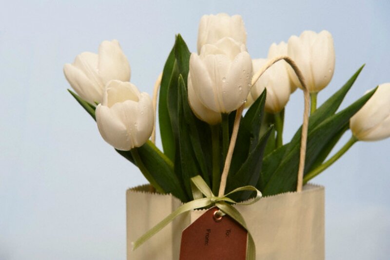 White Tulips in Paper Bag