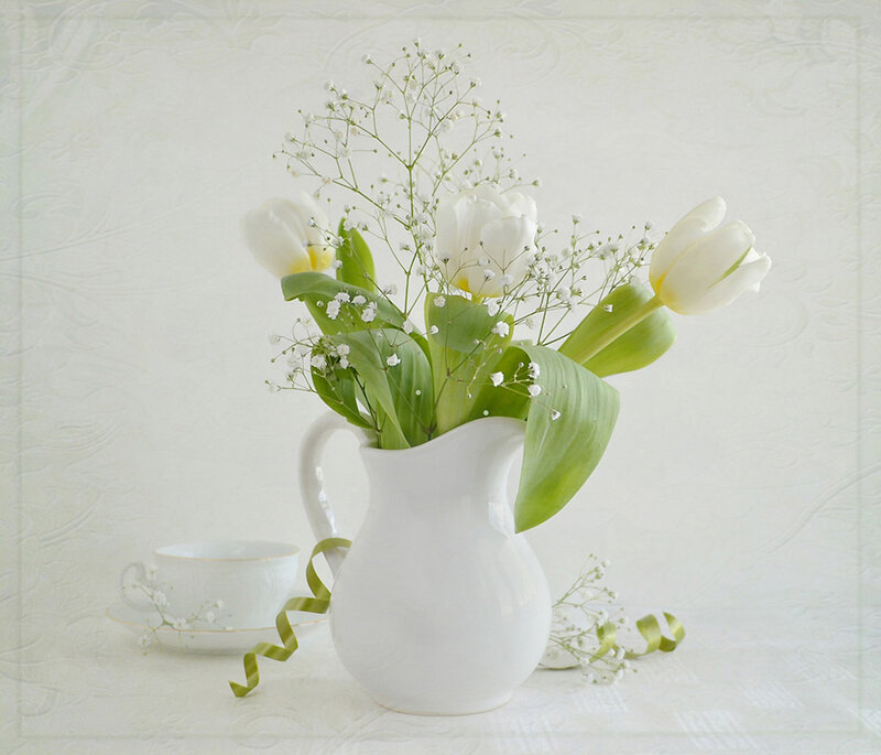 White Tulips in Pitcher — Serene, Photograph