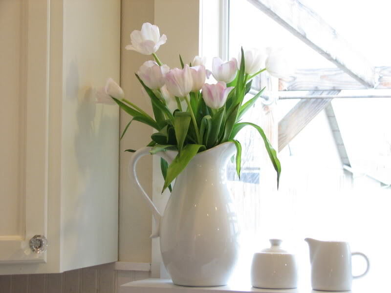 White Tulips in Pitcher — Serene