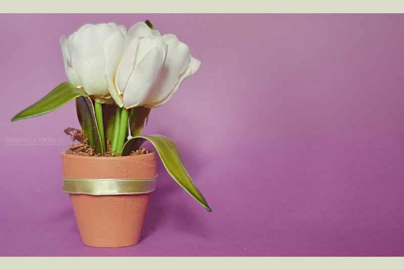 White Tulips in Pot