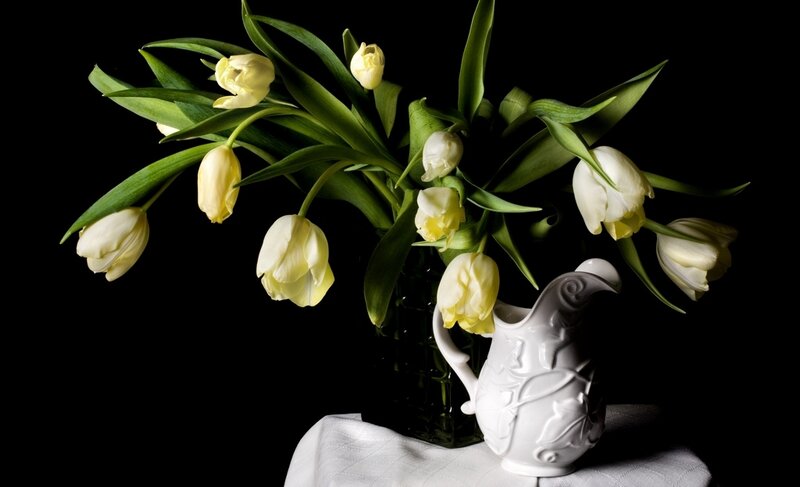White Tulips in Vase — Black