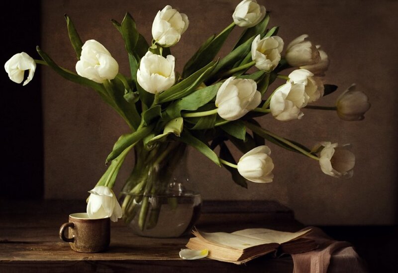 White Tulips in Vase — Brown, Serene
