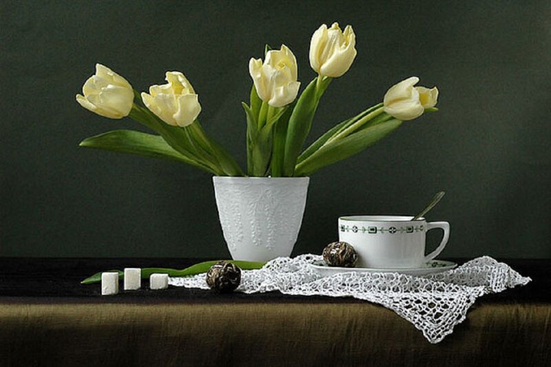 White Tulips in Vase — Green, Serene