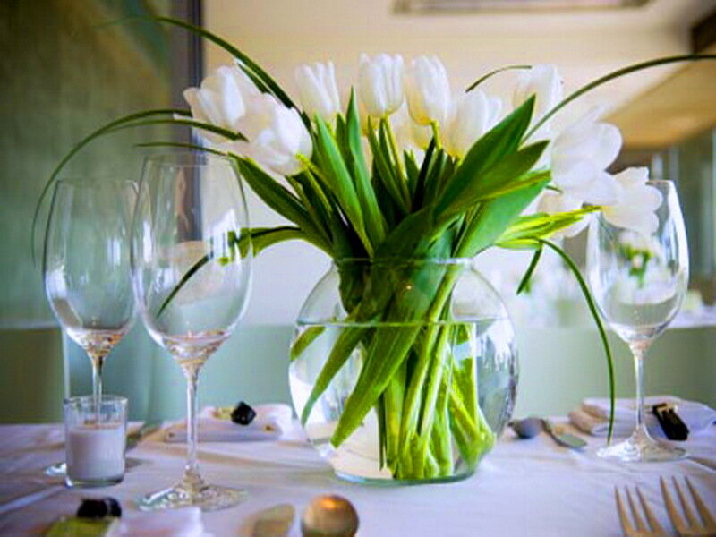White Tulips in Vase — Serene, Afternoon