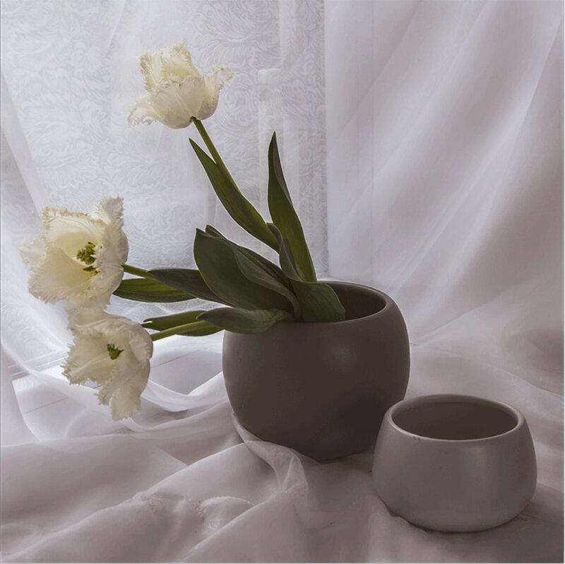White Tulips in Vase — Serene, Photograph, Cup