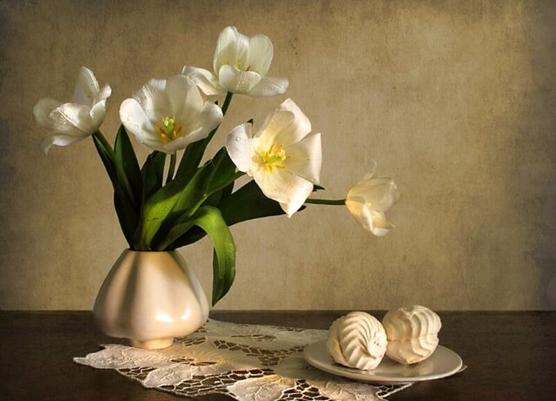 White Tulips in Vase — Serene, Photograph, Flowers, Plate