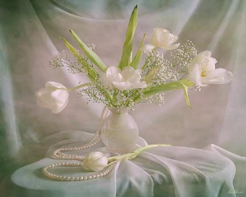 White Tulips in Vase — Serene, Photograph, Pearl Necklace, Gauze Fabric