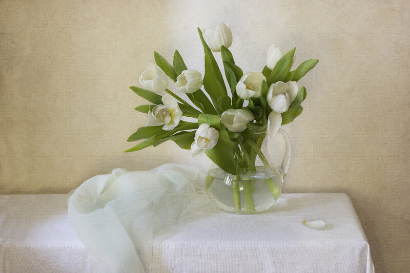 White Tulips in Vase — Serene, Photograph, Tablecloth
