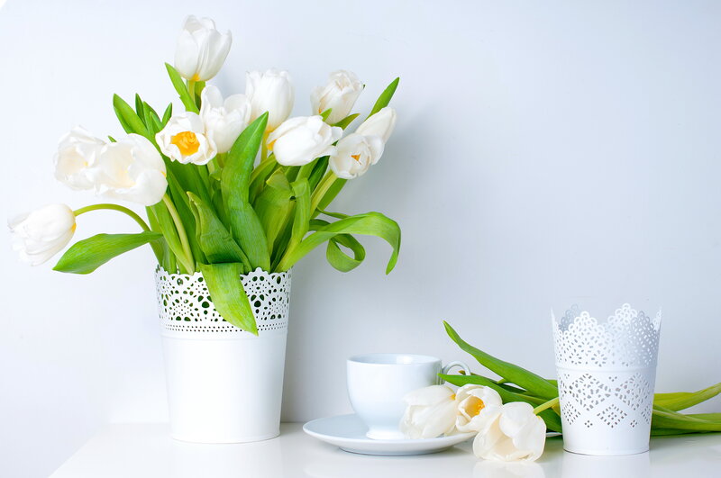 White Tulips in Vase — Serene, Spring, Photograph