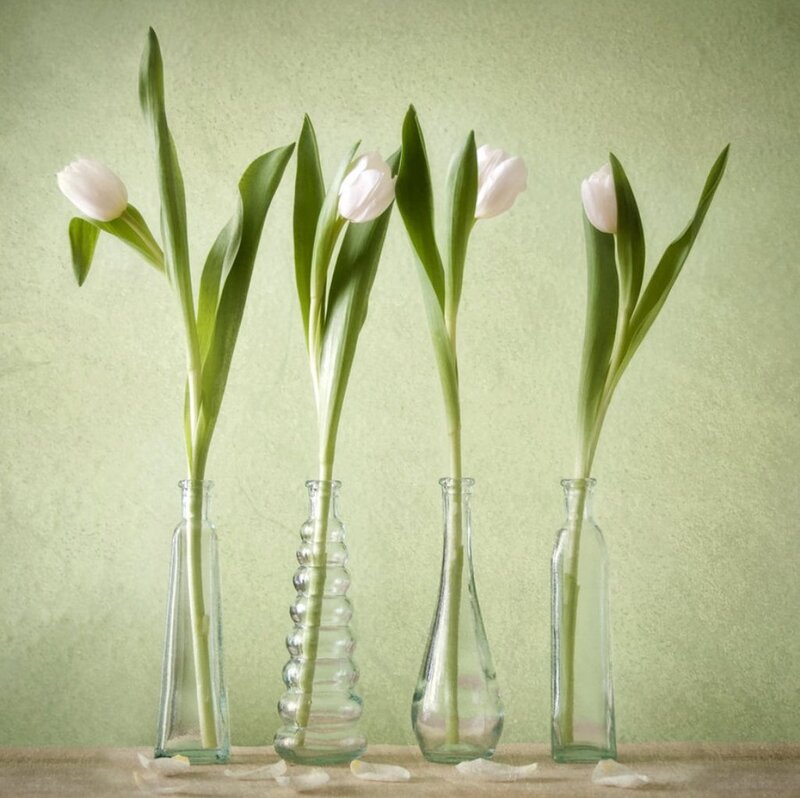White Tulips in Vases — Green, Serene