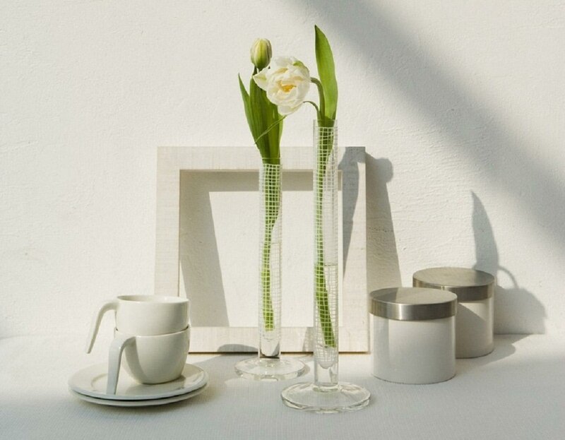 White Tulips in Vases — Serene, Morning