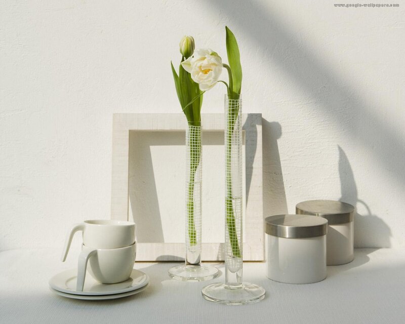 White Tulips in Vases