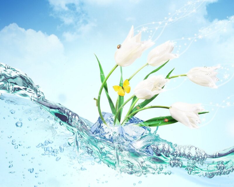 White Tulips in Water — Blue, Serene, Spring, Digital Art
