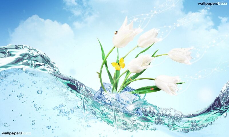 White Tulips in Water — Blue, Serene, Spring
