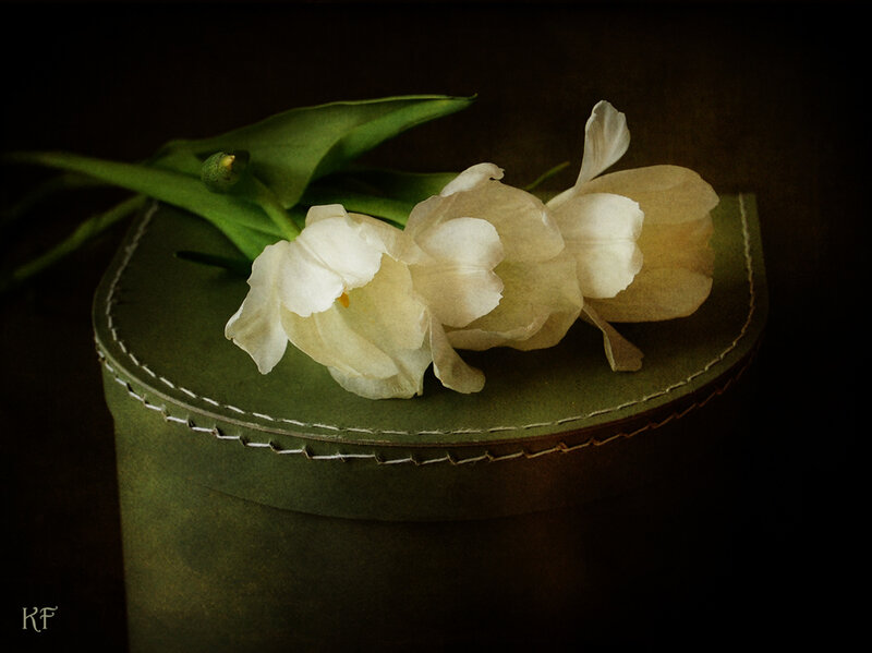 White Tulips on Box