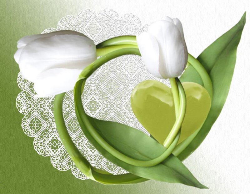 White Tulips on Lace