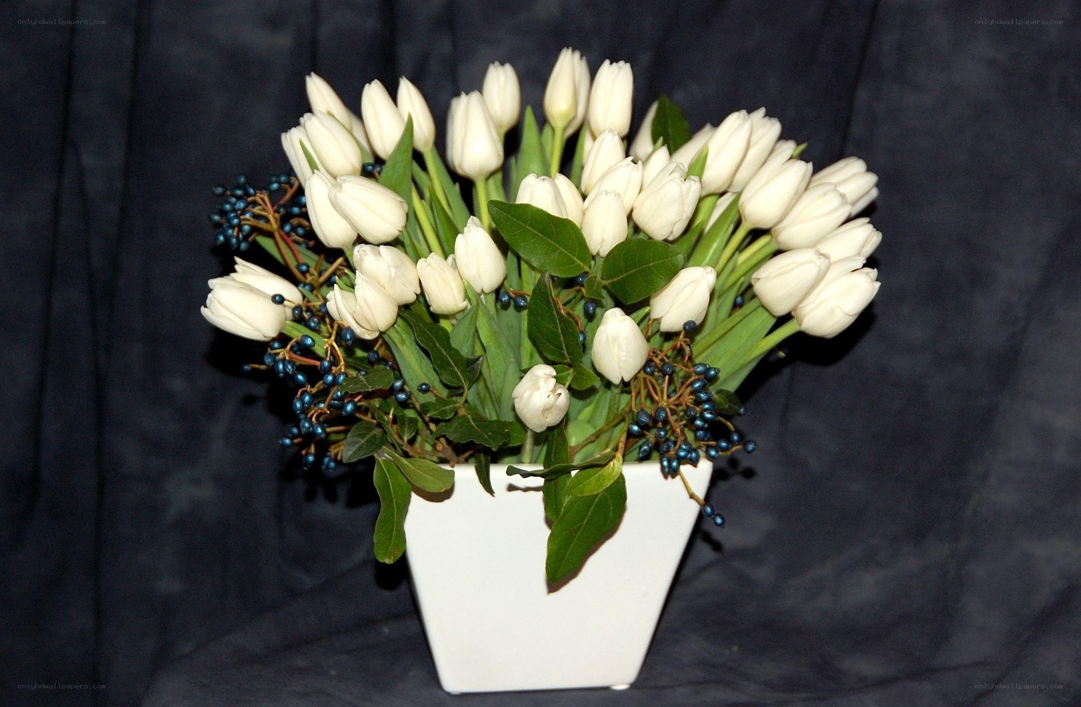 White tulips with berries