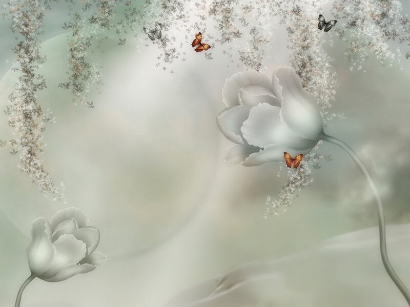 White Tulips with Butterflies