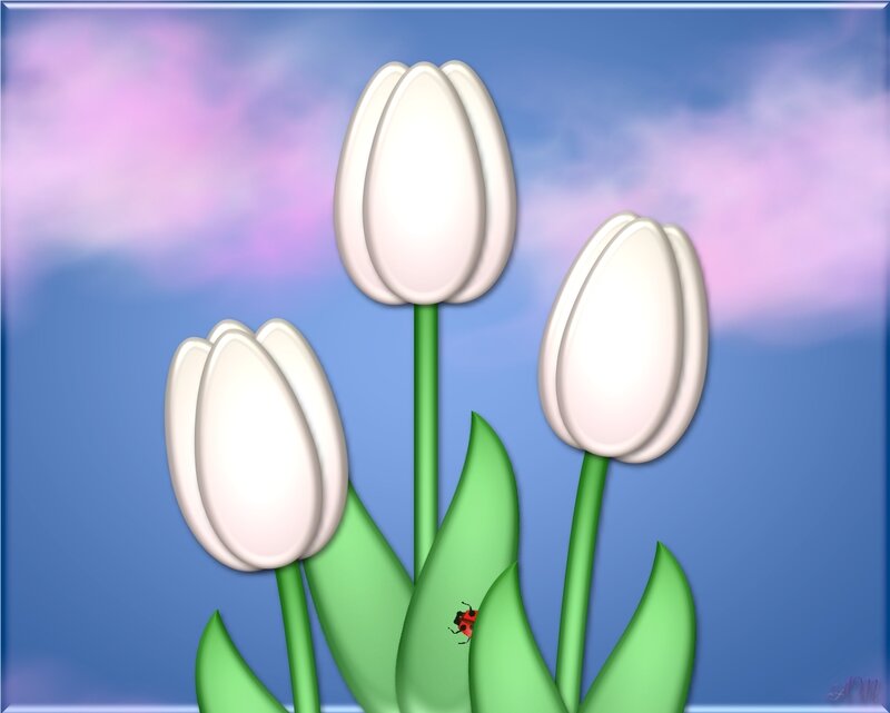 White tulips with ladybug