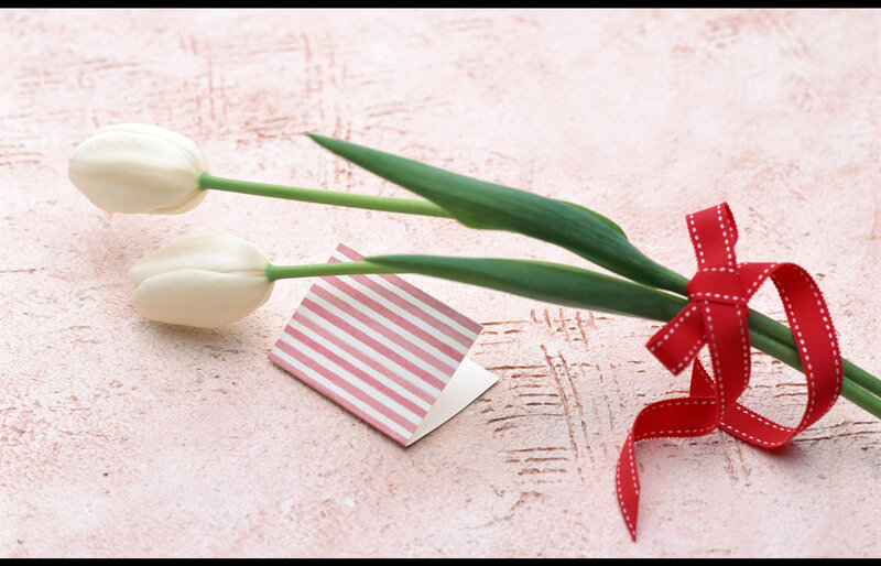 White Tulips with Ribbon