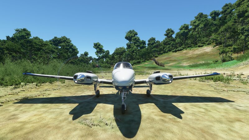 White Twin-engine Plane — Green
