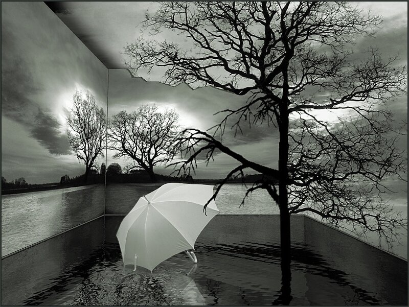 White umbrella in rainy landscape
