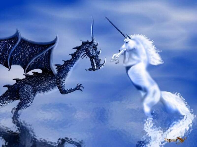 White Unicorn and Black Dragon