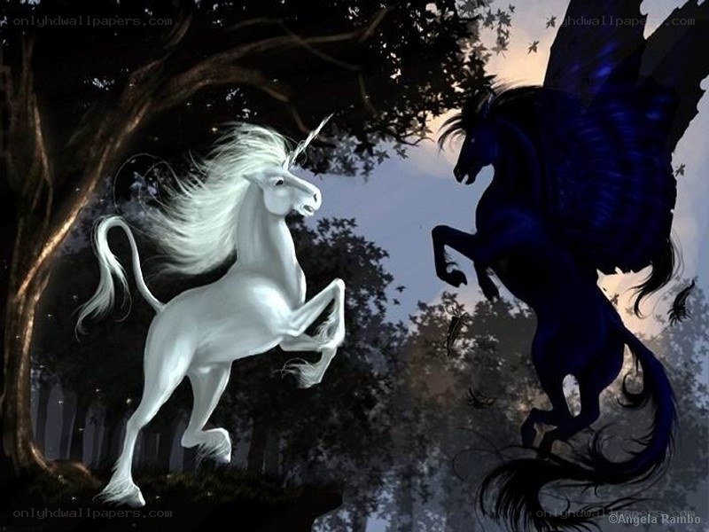 White unicorn and dark pegasus