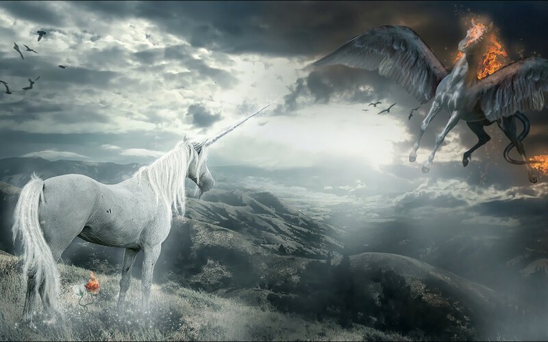 White Unicorn and Winged Horse