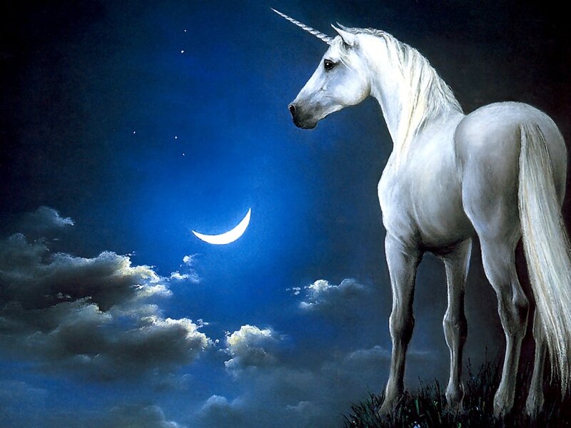 White Unicorn at Night — Blue