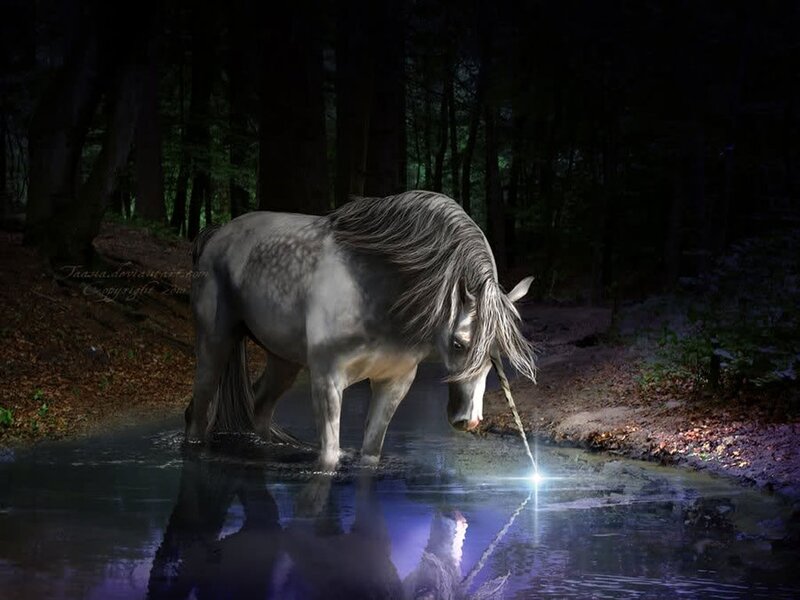 White Unicorn Drinking — Gray