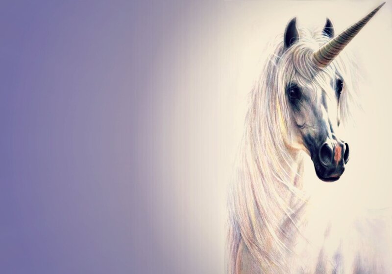 White Unicorn Head — Serene, Digital Art, Horn