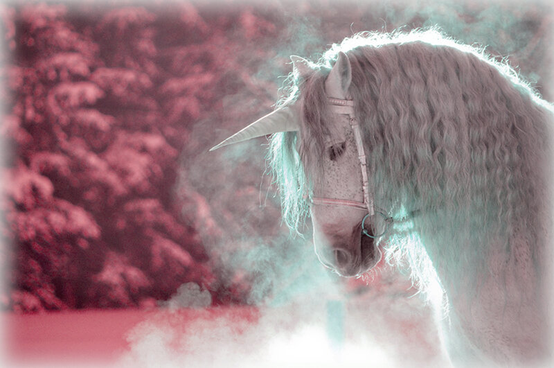 White Unicorn Horse — Red