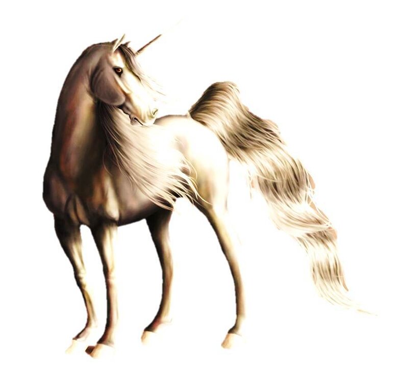 White Unicorn Horse — Serene